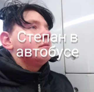 🌟 emoji Степан фортуна Telegram sticker 9 of 53