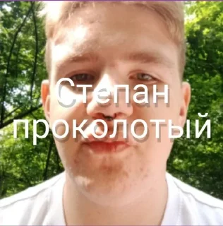 🌟 emoji Степан фортуна Telegram sticker 6 of 53
