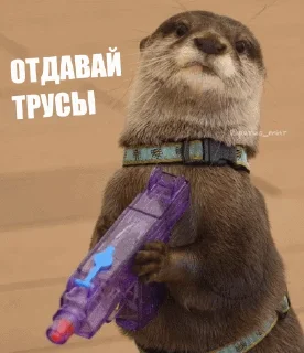 🇺🇦 emoji @vidromemi УКРАЇНСЬКІ ВИДОРИ Telegram sticker 18 of 56