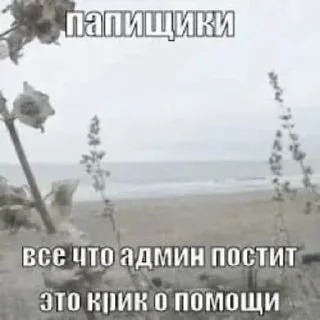 🆘 emoji я не стадо Telegram sticker 2 of 51