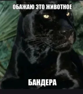 🤒 emoji я не стадо Telegram sticker 7 of 51