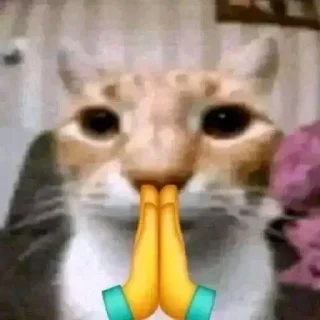 Sticker from cat