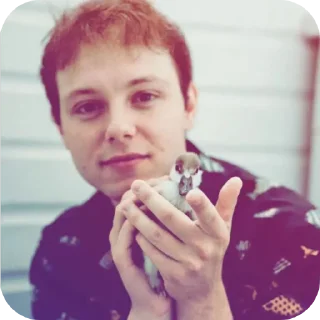 ✋ emoji Экэеэе Telegram sticker 11 of 65