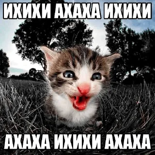 😆 emoji ебало закрыл Telegram sticker 18 of 26