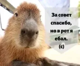 😃 emoji ебало стянул Telegram sticker 10 of 100