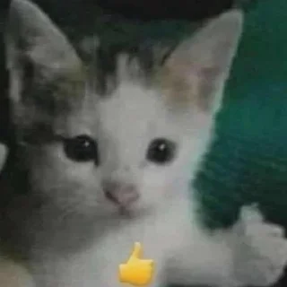 👍 emoji cattos Telegram sticker 18 of 94