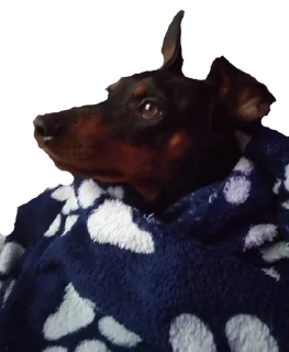 😁 emoji Джакс супер топ Telegram sticker 7 of 15