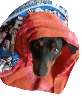 🙁 emoji Джакс супер топ Telegram sticker 15 of 15