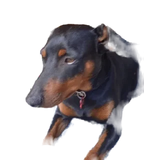 Sticker from Джакс супер топ