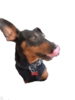 😛 emoji Джакс супер топ Telegram sticker 11 of 15
