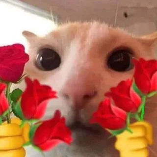 ❤️ emoji лазарев топ Telegram sticker 8 of 31