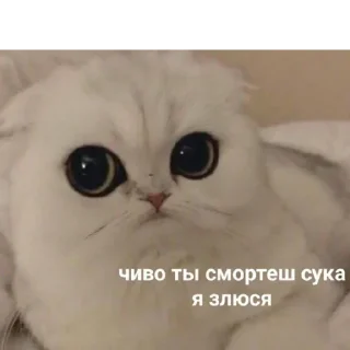 😐 emoji Можлочок Потiк Telegram sticker 11 of 35