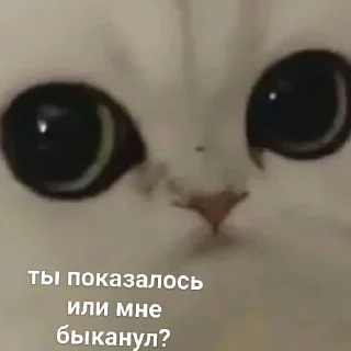 😐 emoji Можлочок Потiк Telegram sticker 21 of 35