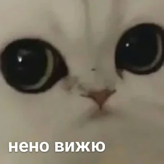 😐 emoji Можлочок Потiк Telegram sticker 20 of 35