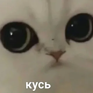 😐 emoji Можлочок Потiк Telegram sticker 22 of 35