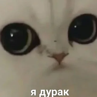 😐 emoji Можлочок Потiк Telegram sticker 8 of 35