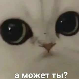 😐 emoji Можлочок Потiк Telegram sticker 7 of 35