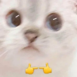 👉 emoji Кирочок Потiк Telegram sticker 23 of 42