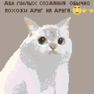 😳 emoji Кирочок Потiк Telegram sticker 24 of 42