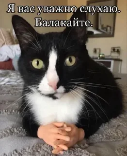 👂 emoji Мемчики для Українців 😎 Telegram sticker 16 of 116