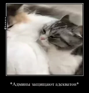 🤗 emoji Пламя-стики❤️‍🔥 (4) @Komaru Telegram sticker 6 of 50