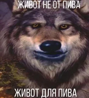 🐺 emoji смешнявка Telegram sticker 21 of 94