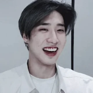 🥡 emoji ᝰ jisung :: @neverzse Telegram sticker 19 of 36