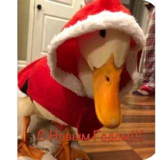 🎄 emoji 👉 Гуси 👈 Telegram sticker 9 of 35