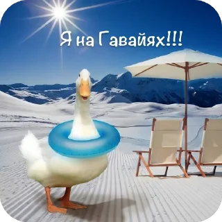 🔆 emoji 👉 Гуси 👈 Telegram sticker 12 of 35