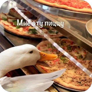 🍕 emoji 👉 Гуси 👈 Telegram sticker 24 of 35