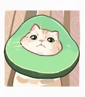 😎 emoji del's kotiks Telegram sticker 15 of 34