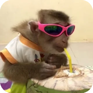 😎 emoji БИБИЗЯНЫ Telegram sticker 7 of 12