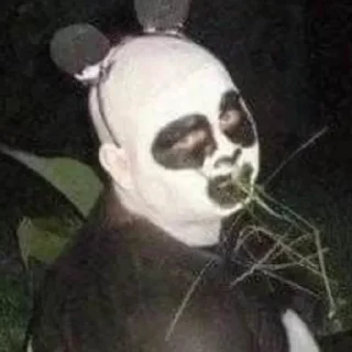 🐼 emoji Бебра Telegram sticker 5 of 11