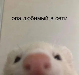 🥰 emoji стикеры Мэшки Telegram sticker 24 of 109