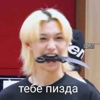 😡 emoji Stray kids world domination Telegram sticker 8 of 109