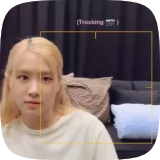 💫 emoji blackpink / @skenitis_channel Telegram sticker 24 of 35