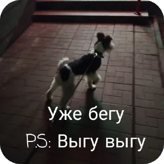 🐶 emoji Вкусняшка) @BR0DYACH1Y_ART1ST Telegram sticker 16 of 17
