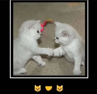 🌟 emoji Реакшн Telegram sticker 21 of 103