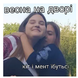 🐈 emoji Птаха їбу Telegram sticker 21 of 32