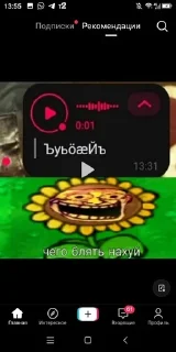 📷 emoji Прикол Telegram sticker 24 of 24