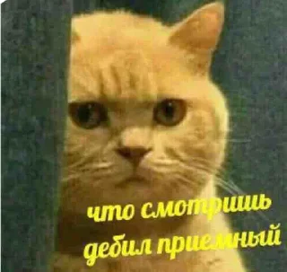 😐 emoji Сборище стиков Катьки Telegram sticker 14 of 37