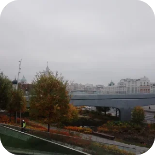 🌳 emoji Москва Telegram sticker 9 of 68