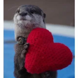 ❤️ emoji otters Telegram sticker 7 of 69