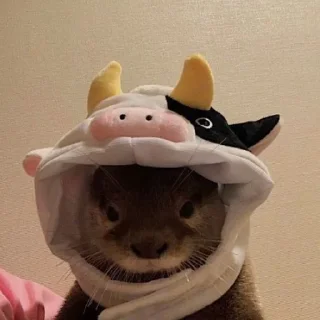 🐄 emoji otters Telegram sticker 23 of 69