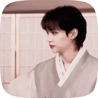 🍵 emoji stray kids world domination💗💕 Telegram sticker 6 of 26