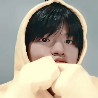 🍟 emoji 🍟—‹ #𝐤𝐢𝐦 𝐬𝐞𝐮𝐧𝐠𝐦𝐢𝐧 › // @linklinstckers Telegram sticker 13 of 35