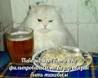 😎 emoji котики милашки Telegram sticker 8 of 93