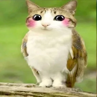 🐱 emoji meowl // @owiwke Telegram sticker 23 of 30