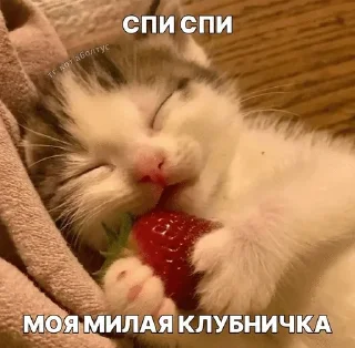 Sticker from хуй максима