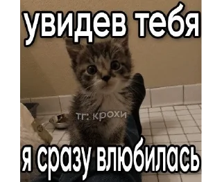 🌟 emoji хуй максима Telegram sticker 13 of 120